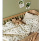 Dear April Juno Junior Bedding Set - 100 x 140cm - Blueberries