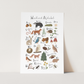 Kid of the Village Woodland Alphabet Art Print - White