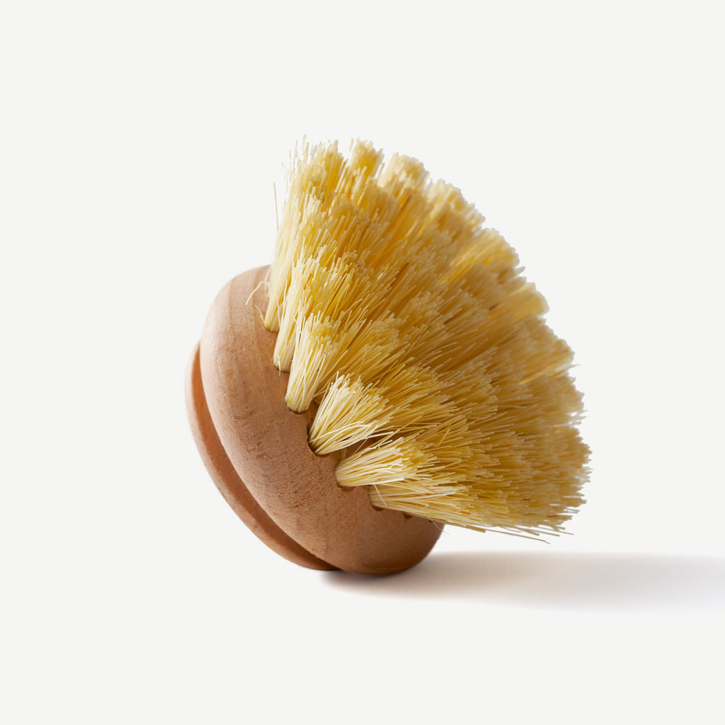 Wild & Stone Wooden Dish Brush with Replaceable Head