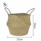 Bellybambino Dog Seagrass Basket - Small