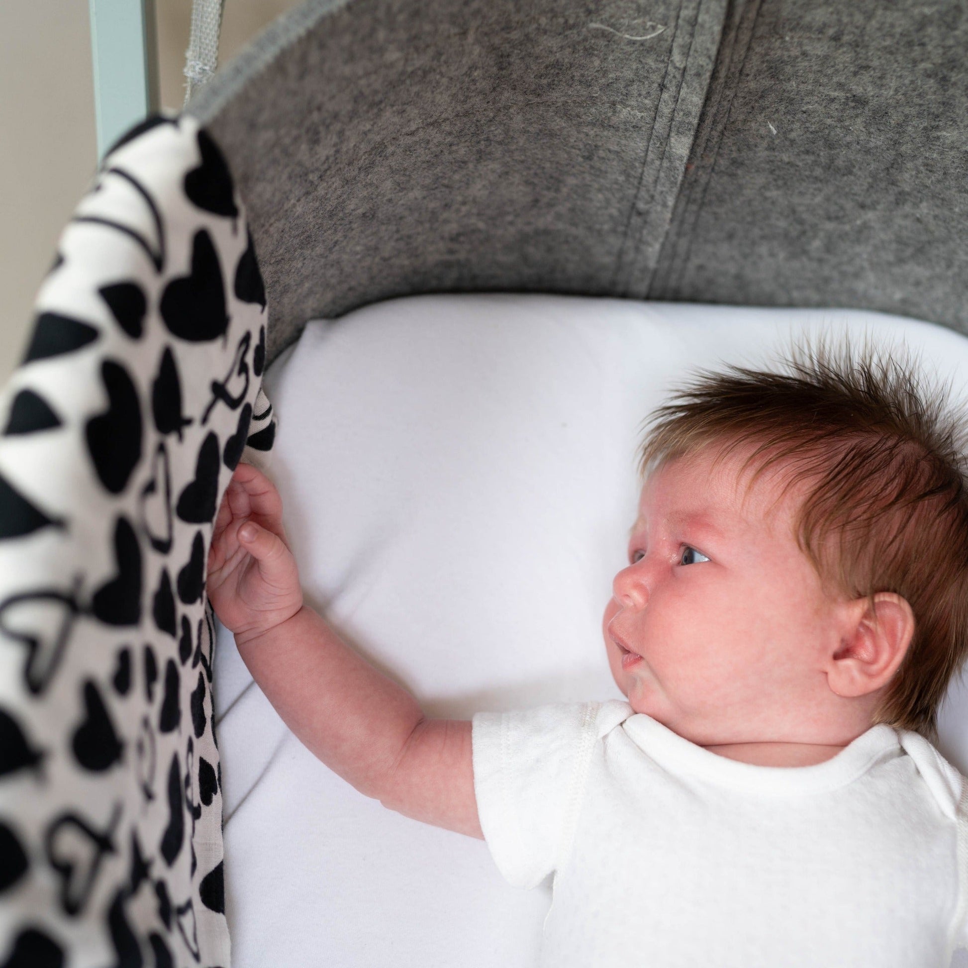 Etta Loves Organic Sensory Muslin Cloth - Love Hearts