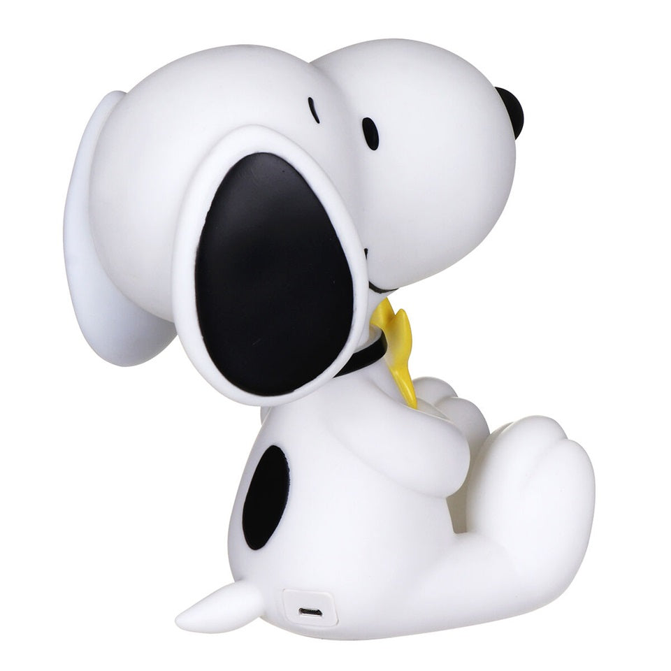 Peanuts Snoopy & Woodstock LED Night Light by House of Disaster