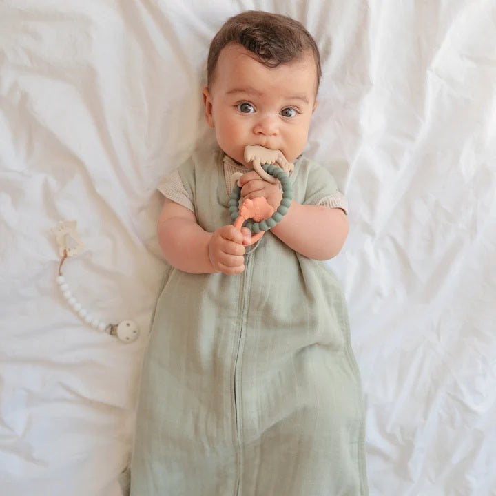 Mushie Silicone Teething Ring - Dinosaurs