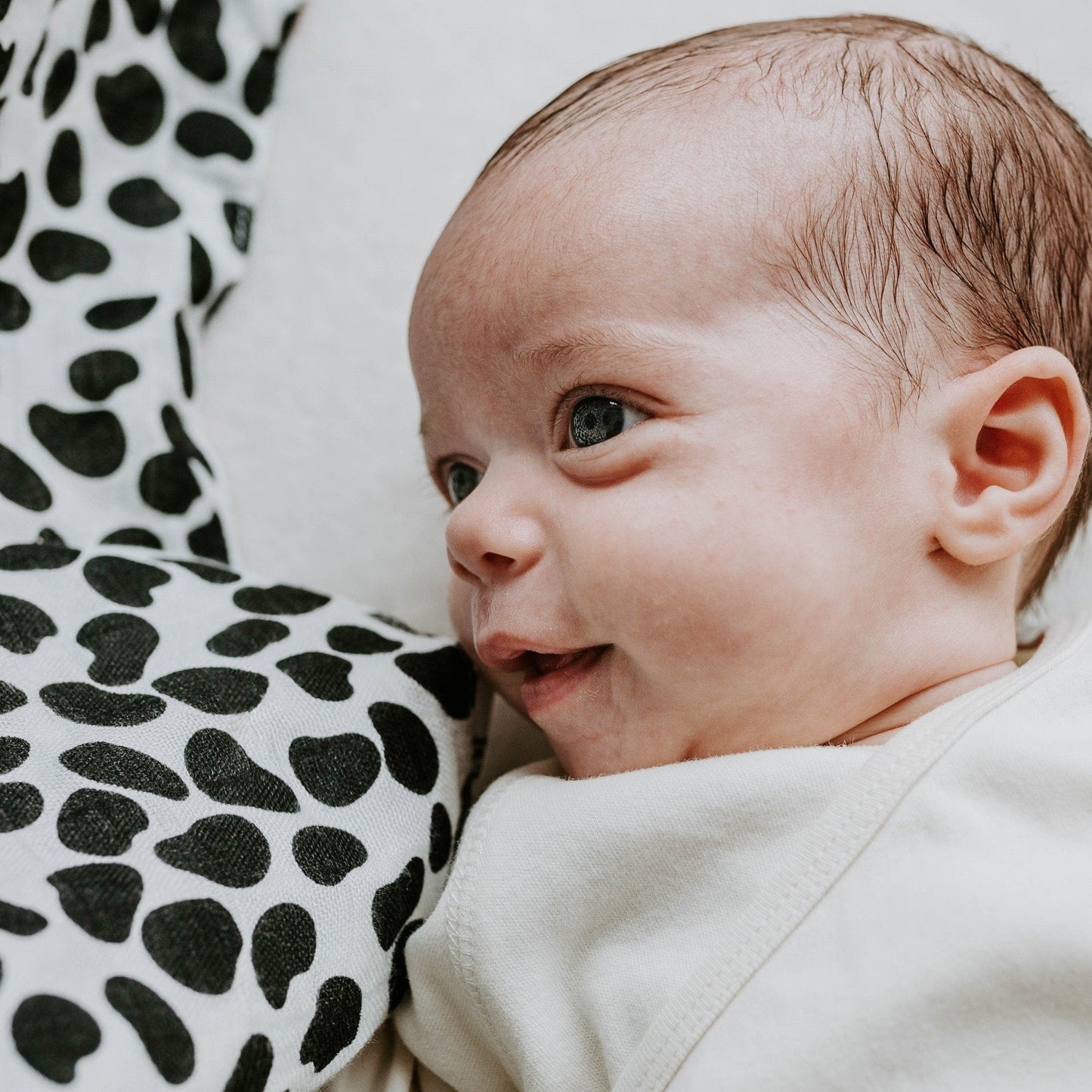 Etta Loves Organic Sensory Muslin Cloths - 3 Pk - Animal Prints