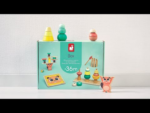 Janod Wooden Toy Box Set - Age 36 Months+