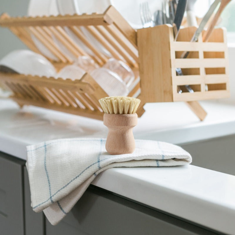 Wild & Stone Wooden Pot Brush