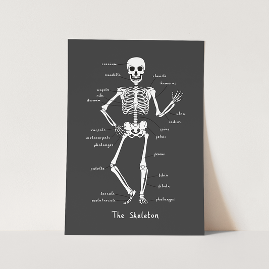 Skeleton Art Print In Black by Kid of the Village (6 Sizes Available)