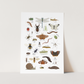 Minibeasts Art Print In White by Kid of the Village (6 Sizes Available)