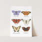 Butterflies Art Print by Kid of the Village (6 Sizes Available)