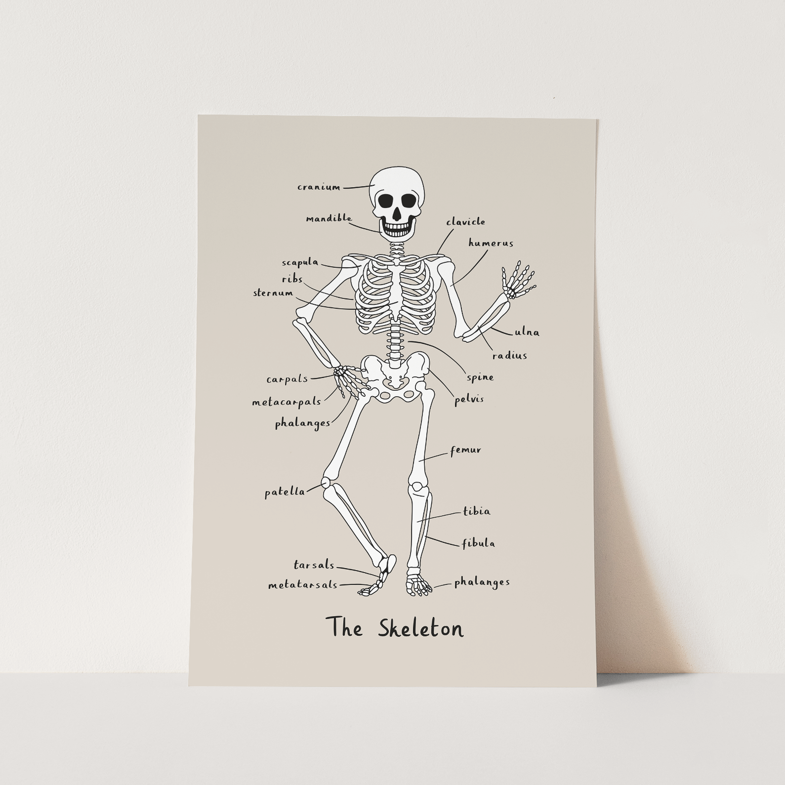 Skeleton Print In Stone by Kid of the Village (6 Sizes Available)