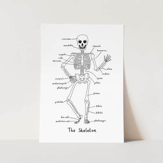 Skeleton Art Print In White by Kid of the Village (6 Sizes Available)