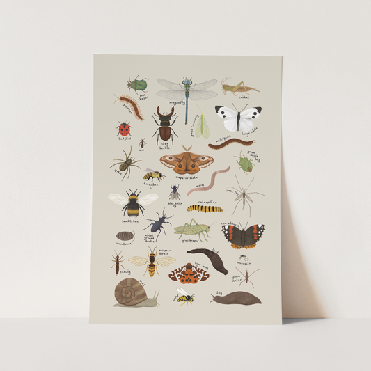 Minibeasts Art Print In Stone by Kid of the Village (6 Sizes Available)