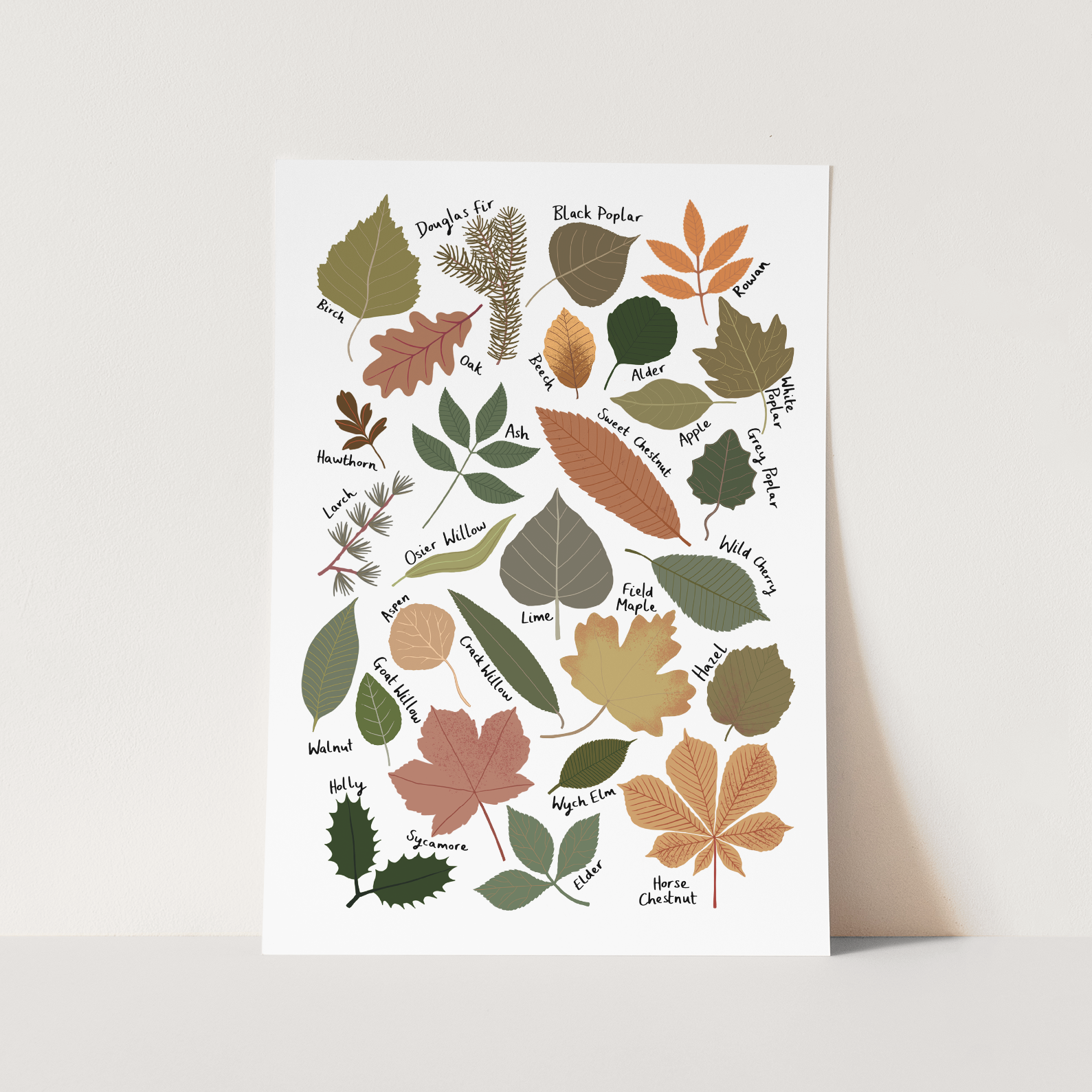Leaf Chart Art Print by Kid of the Village (6 Sizes Available)