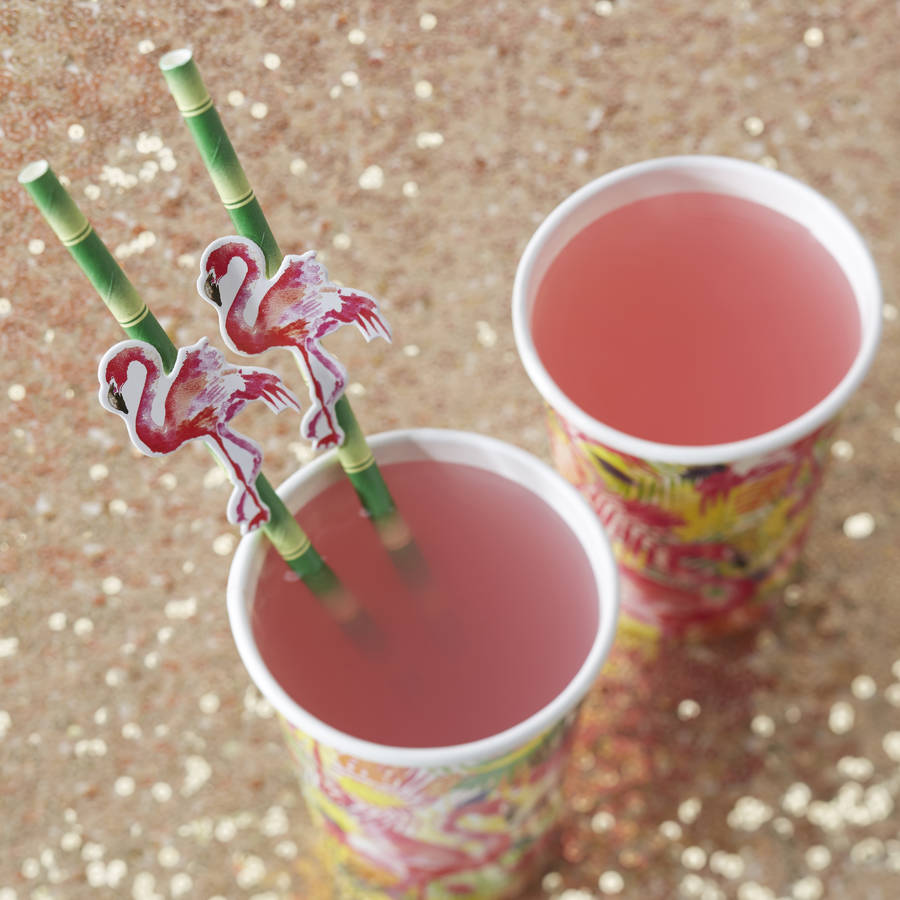 Paper Straws 20 Pack Flamingo Fun