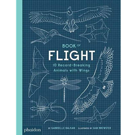 Book Of Flight: 10 Record-Breaking Animals With Wings 