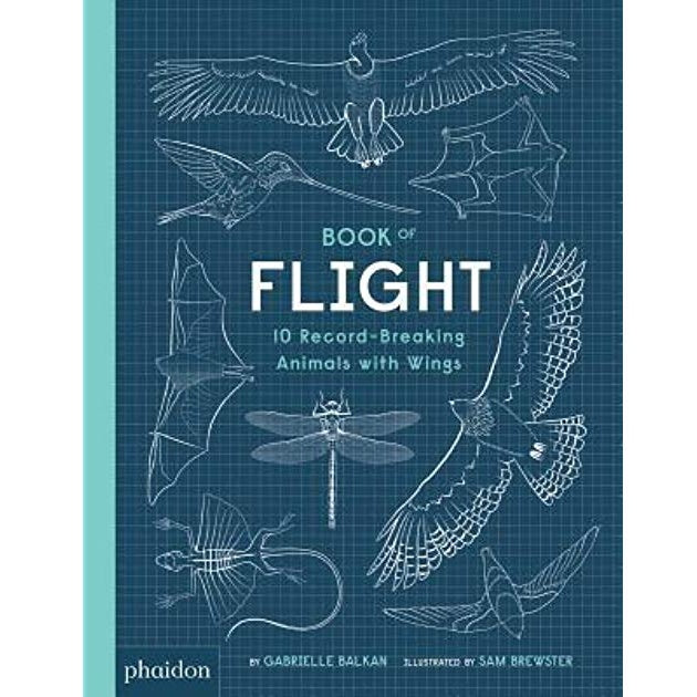 Book Flight 10 Record Breaking Animals Wings Hardback Book