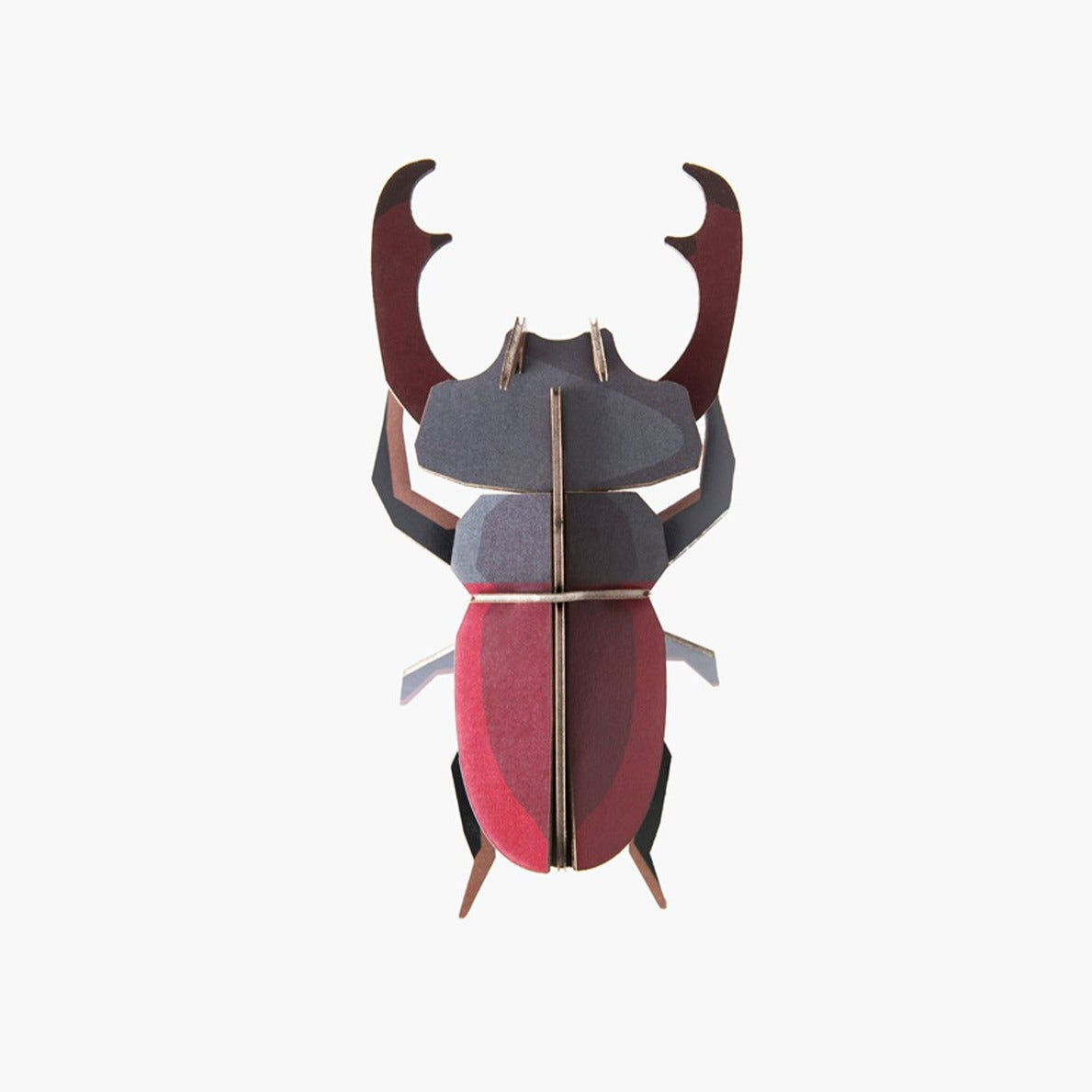 Studio Roof 3D Model Wall Decor - Stag Beetle