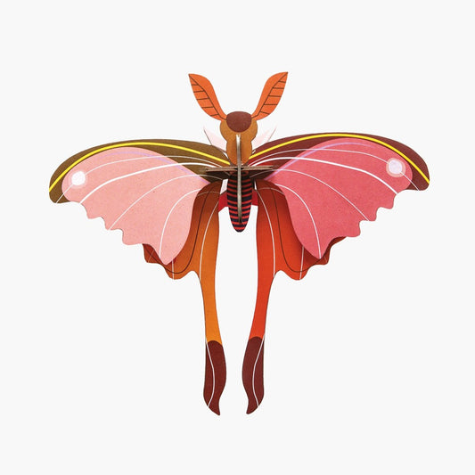 Studio Roof 3D Model Wall Decor - Pink Comet Butterfly