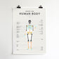 We Are Squared Educational Poster - Human Body