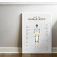 We Are Squared Educational Poster - Human Body